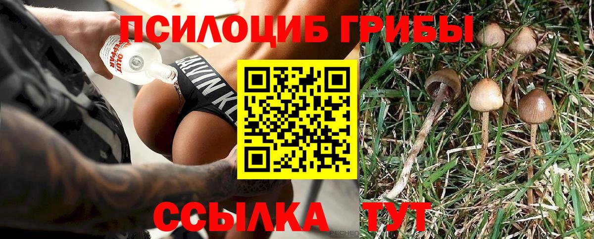 Белореченск  Псилоцибиновые грибы Psilocybine cubensis  Вход с VPN 